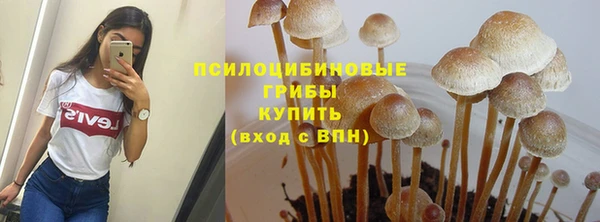 таблы Алексеевка