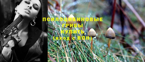 таблы Алексеевка