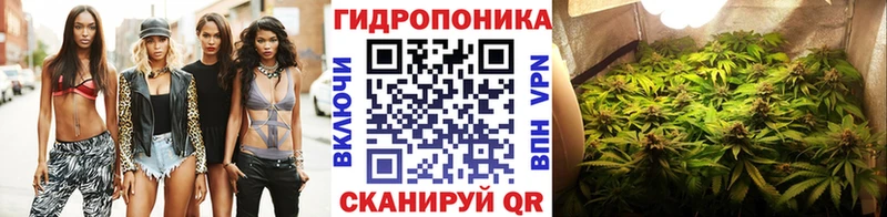 купить закладку  Жуковка  Бошки Шишки White Widow 